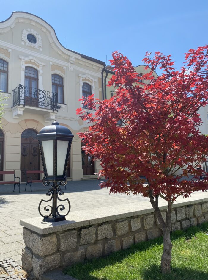 Námestie s červeným javorom, lampou a historickou budovou.